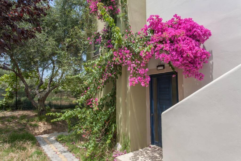 חאניה Villa Manolis מראה חיצוני תמונה